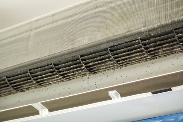 Best Local Air Duct Cleaning Services  in Independence, OH